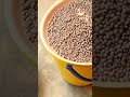 PIGEON PEAS MBAAZI ZA NAZI Food Africanfoodbloveslife PIGEON PEAS MBAAZI ZA NAZI Food Africanfoodbloveslife