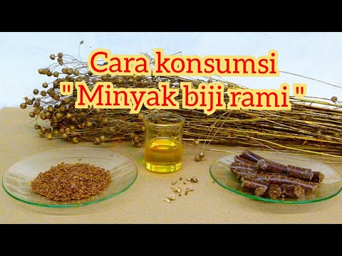 Video: Bagaimana Cara Minum Minyak Biji Rami?