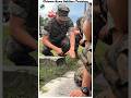 Chinese Army Soldiers Training//MSD survey #shorts