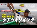 激戦区！真夏の東京湾タチウオジギング　～マシーン流東京湾攻略～