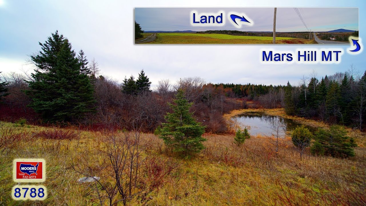 Land For Sale In Maine Town Says 151 Acres US RT 1 Bridgewater ME