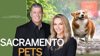 Sacramento Pets | Tatiana Bedoya | Luxury Properties Specialists