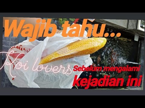 Video: Menghadap: Hanya Sebab 2 • Halaman 3