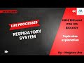 Respiratory System in Human| Life Process| Biology| CBSE 10|ICSE 9| Meghna Jha| #respiratorysystem