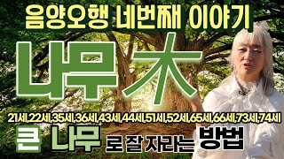 음양오행  나무木속성에 대하여!_박나래가 라디오스타에서 말한 그집!