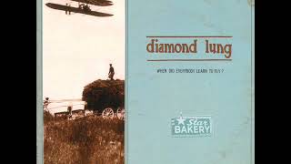 Diamond Lung - When Did Everybody Learn To Fly [full lp]