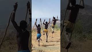 Stepping High How Farmers Master Traditional Wooden Stilt Walking