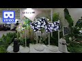 3D 180VR LG Electronics StanbyME, Signature OLED8K & indoor gardening with plant cultivator Tiiun 4K