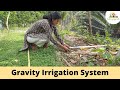 Easy irrigation for permaculture farm