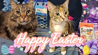 Surprising My Cats With Easter Baskets!