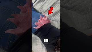 Its Impossible To Remove This Creature