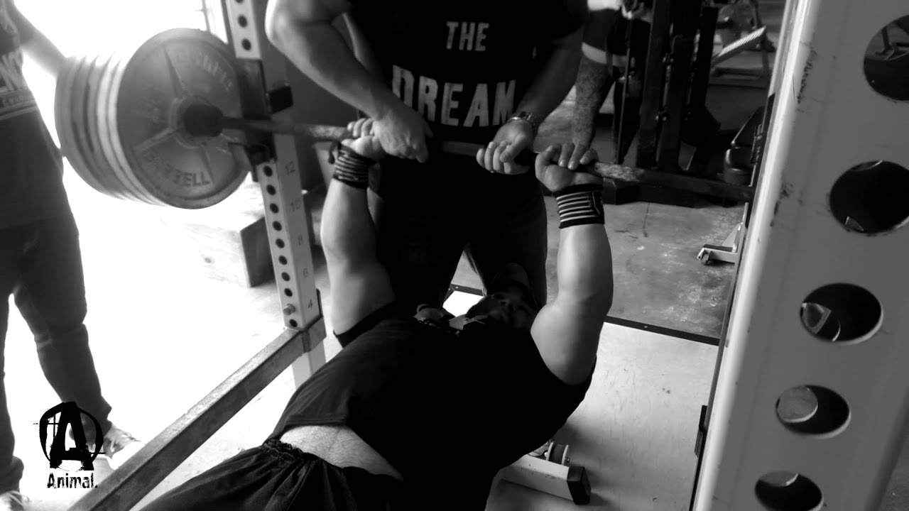 The Animal Underground: Jeremy 