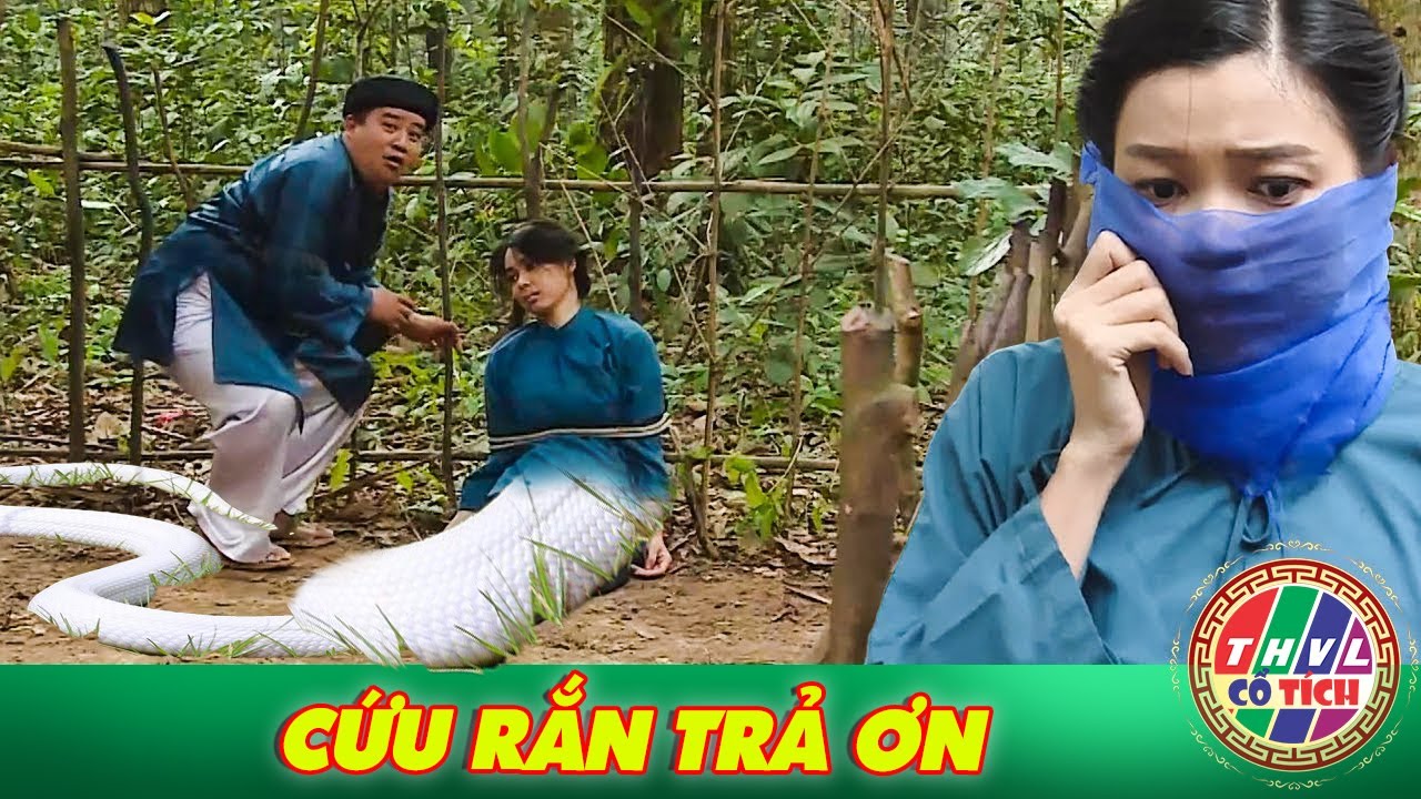 CỔ TÍCH LẠ 2025 | CỨU RẮN TRẢ ƠN | CỔ TÍCH VIỆT NAM MỚI NHẤT 2025 | CỔ TÍCH VIỆT NAM HAY 2025