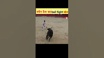 स्पेन देश का bull fight खेल में क्या क्या होता हैं | #shorts