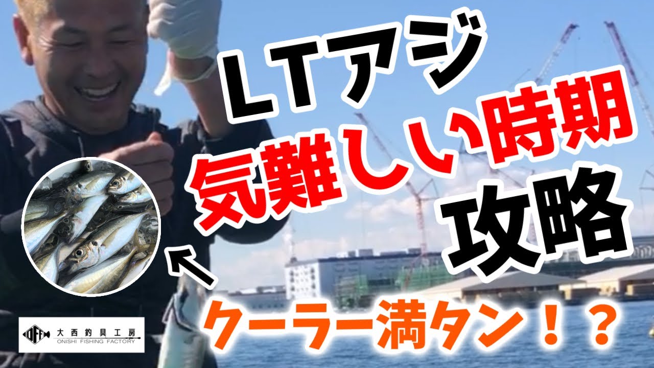 【LTアジ釣り】激シブはライン引き釣法と喰い芯理論で攻略できる！！　#ライトアジ