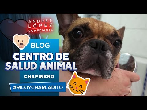 Centro de Salud Animal Chapinero Alto. | Andrés López
