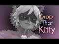 Drop that Kitty | Catnoir