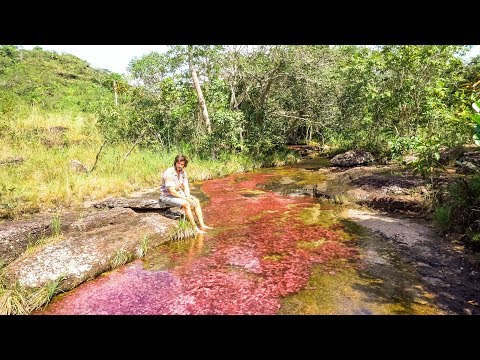 Casi llego Al Río de los 7 Colores: El Más Hermoso del Mundo, Caño Cristales - WilliamRamosTV