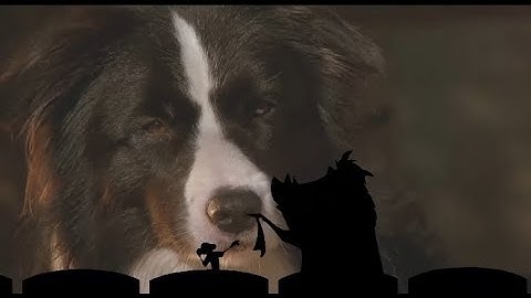 Timon and Pumbaa Interrupt 3 Babe