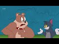 The tom and jerry show  someones in the kitchen with mynah