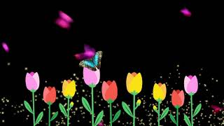 Springtime - Free background Animation 🎵 Butterflies In Love by Sir Cubworth