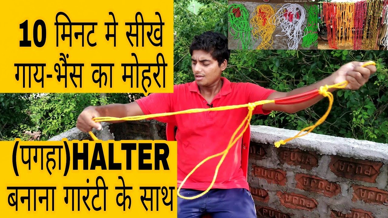 गाय-भैंस के लिए मोहरी (पगहा)कैसे बनाये  How to make halter (pagha) for cow and buffalo
