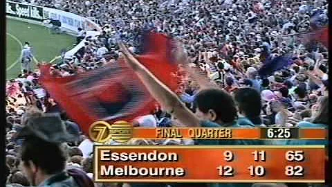 Brett Lovett sealer vs Essendon (Round 5, 1994)