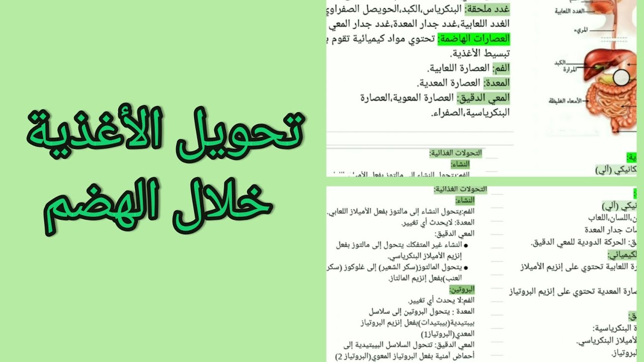 دروس العلوم الطبيعية سنة رابعة متوسط.