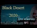 Гайд для новичка №5 в Black Desert 2020