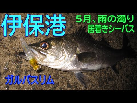 伊保港 釣行日記 2021年5月6日