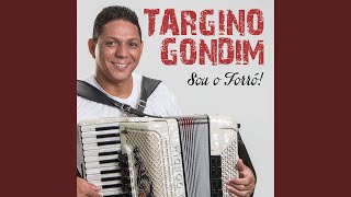 Video thumbnail of "Targino Gondim - Sou o Forró!"