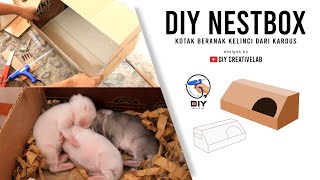 DIY NESTBOX | Kotak Beranak Kelinci dari Kardus |