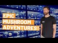 Cordyceps, Shiitake and Shaggy Mane!! - Exploring (MORE) Exotic Mushroom Farms