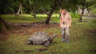 Urlaub Seychellen -  Im Reich der Riesenschildkröten