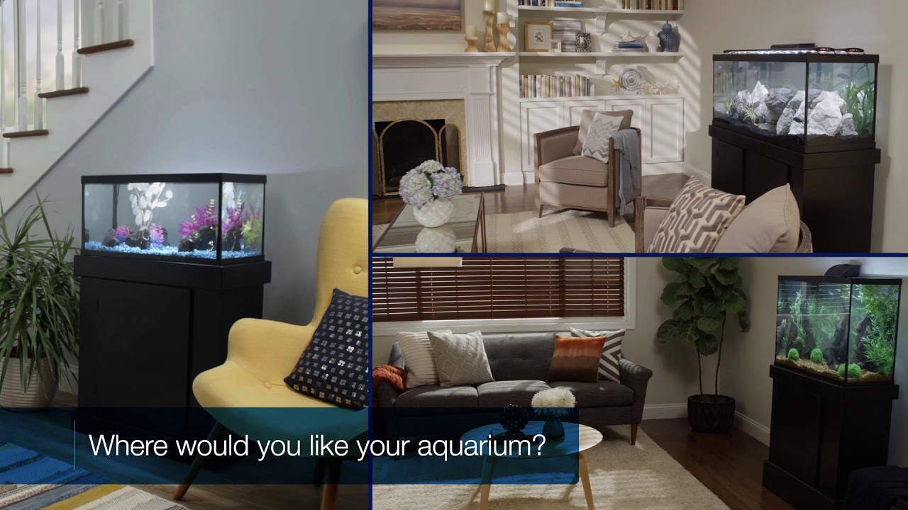 Tetra® – Things to Consider Before Buying an Aquarium