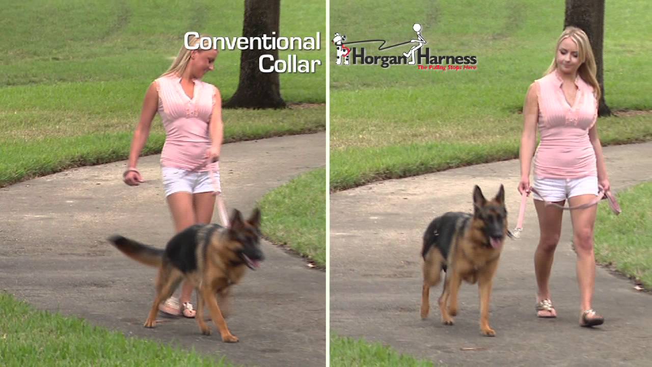 Harness 15 Second Commercial YouTube