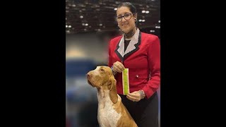 Memorial Service for Lauren Alessandra Rubio-Mandia