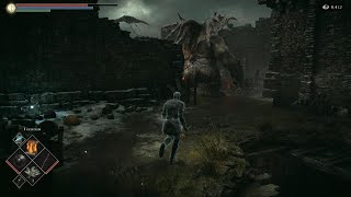 Demon's Souls remote play on ipad screenshot 2