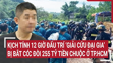 Điểm nóng: Kịch tính 12 giờ đấu trí giải cứu đại gia bị bắt cóc đòi 255 tỷ tiền chuộc ở TP.HCM