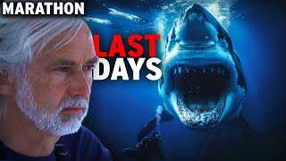 Dr Neil Burnie's Final Mission Before His Death To SAVE The Ocean | Curious?: Natural World by Curious?: Natural World 9,877 views 1 month ago 2 hours, 17 minutes