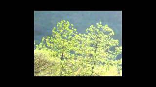 Meditacion Guiada - QUITAR DOLOR de cabeza (y cualquier otro dolor)