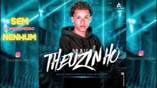SEM COMPROMISSO NENHUM - THEUZINHO