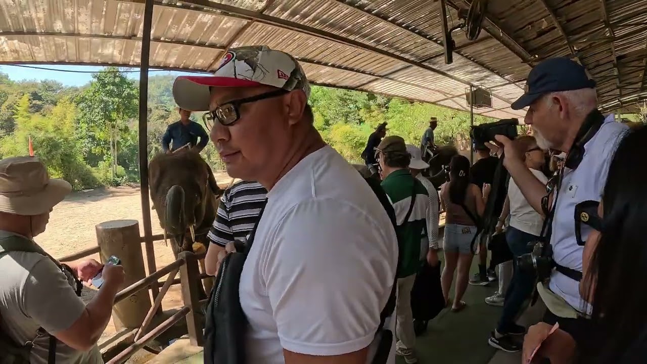 Maetaeng Elephant show