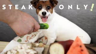 My Dog Hates Birthday Cucumber.
Tender Birthday Bites! Happy Birthday Lily!
Find us on Twitter: @BoomLoreYT
Who we Are: https://tinyurl.com/y7vdzfkv
☆★☆★☆★☆★~MAIL BOX*★☆★☆★☆★☆★
Send us messages or whatever you want via the address below!:
Yummy Japan - KemushiChan
〒150-0022 東京都渋谷区恵比寿南2-1-2 R・K・F恵比寿ビル5F
Yummy Japan - KemushiChan
5F, RKF-EBISU, 2-1-2, Ebisuminami, Shibuya-ku,
Tokyo, 150-0022, Japan
Business Inquiries:
BoomLoreYT@gmail.com
☆★☆★☆★☆★☆★*~MUSIC~*★☆★
Were always on the lookout for new music to feature in our videos!
If you produce chill hop, hip hop/rap, R&B, jazz, glitch hop or any other sick beat, shoot us an email here: BoomLoreYT@gmail.com
Give Lily Treats here:
https://www.paypal.com/paypalme/boomlore
#lifeinjapan #dogasmr #japan My Dog Hates Birthday Cucumber.