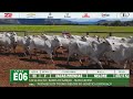 LOTE E06