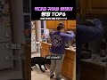 역대급 귀여운 댕댕이 랭킹 TOP6