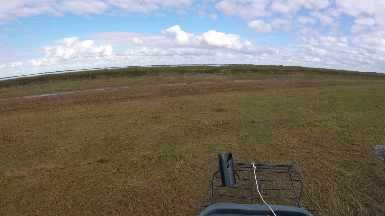 Airboat ride on Lake Cypress - YouTube
