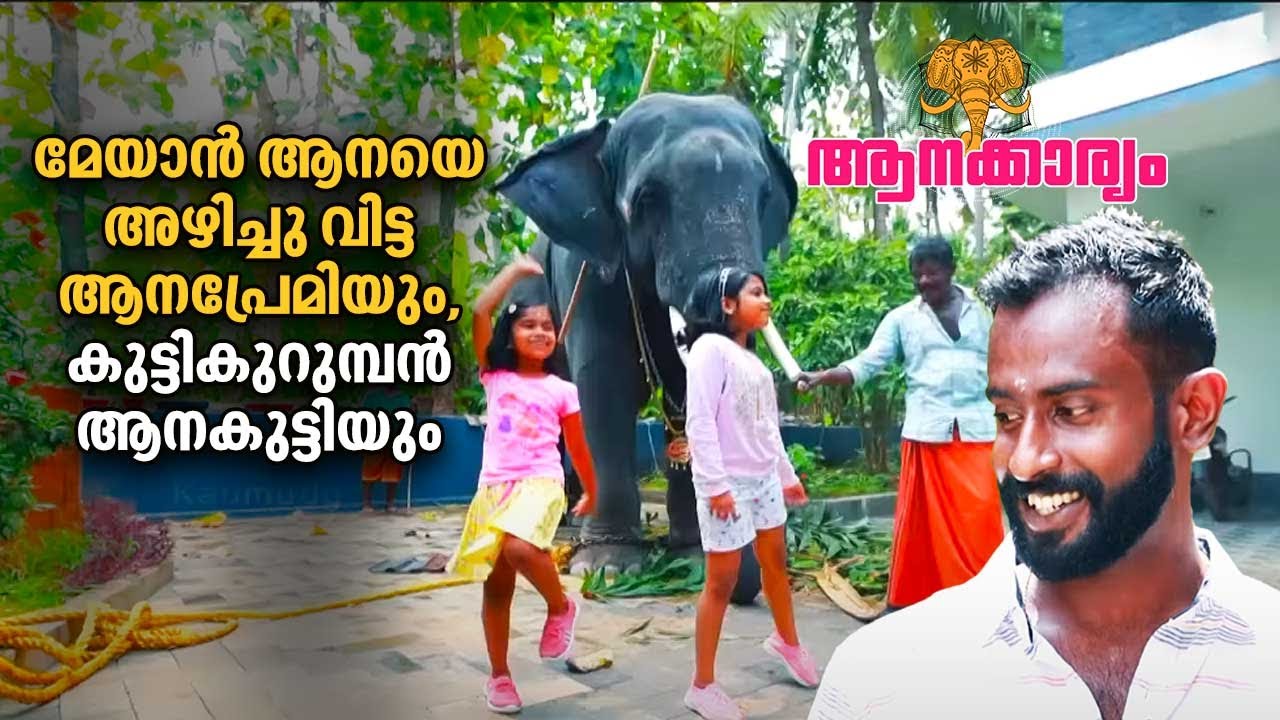 EP 20 | മേയാൻ ആനയെ അഴിച്ചു വിട്ട ആനപ്രേമിയും, കുട്ടികുറുമ്പൻ ആനകുട്ടിയും | Aanakkaryam