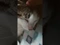 soouuuu cute