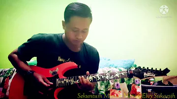 Sekuntum Mawar Merah - Elvy sukaesih cover gitar